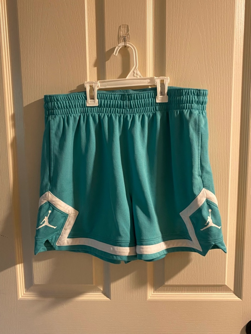 Nike Teal Dri-FIT Athletic Shorts with Black Logo